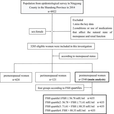 High Circulating Follicle-Stimulating Hormone Level Is a Potential Risk Factor for Renal Dysfunction in Post-Menopausal Women